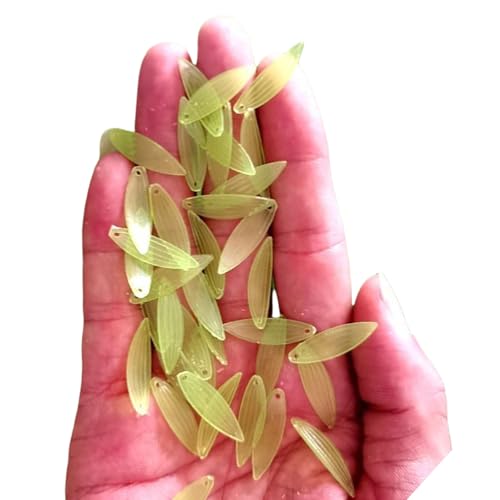 50 PCs Blumenperlen Acrylblüten Knospen Basteln Perlen Farbdruck Tulpen Perlen Handwerksbedarf von Fluxioxtna
