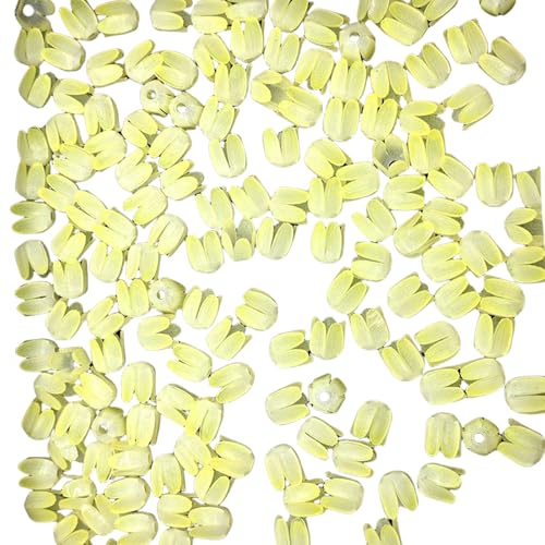 50 PCs Blumenperlen Acrylblüten Knospen Basteln Perlen Farbdruck Tulpen Perlen Handwerksbedarf von Fluxioxtna
