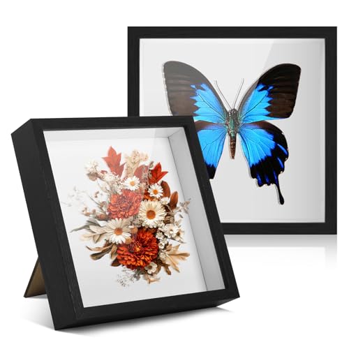 FoiiLiio 2 Stück 3D Bilderrahmen zum Befüllen 20x20cm,3D Rahmen für Objekte Tiefer 3cm,Tief 3D Objektrahmen Hölzern,Bilderrahmen Befüllbar,Shadow Box für Fotos Blumen DIY Kunstwerke,Schwarz FoiiLiio 2 Stück 3D Bilderrahmen zum Befüllen 20x20cm,3D Rahmen für Objekte Tiefer 3cm,Tief 3D Objektrahmen Hölzern,Bilderrahmen Befüllbar,Shadow Box für Fotos Blumen DIY Kunstwerke,Schwarz von FoiiLiio
