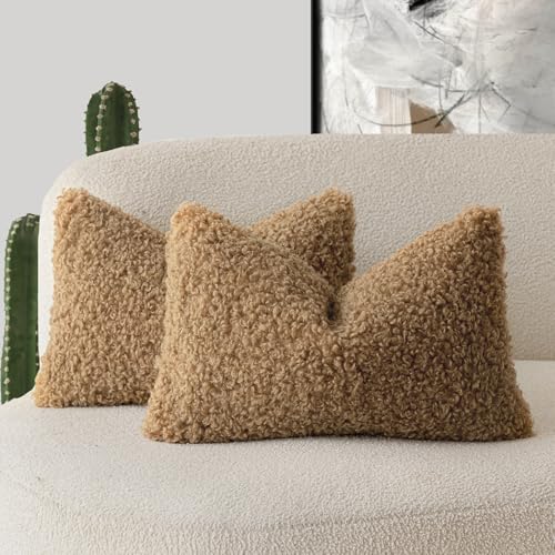 Foindtower Set mit 2 gelockten Teddy-Woll-Kissenbezügen, dekorativ, Bouclé, strukturiert, Lendenwirbelkissen, Kunstfell-Kissenbezüge, Schaffell, Kissen für Sofa, Schlafzimmer, Auto, 30,5 x 50,8 cm, Foindtower Set mit 2 gelockten Teddy-Woll-Kissenbezügen, dekorativ, Bouclé, strukturiert, Lendenwirbelkissen, Kunstfell-Kissenbezüge, Schaffell, Kissen für Sofa, Schlafzimmer, Auto, 30,5 x 50,8 cm, von Foindtower