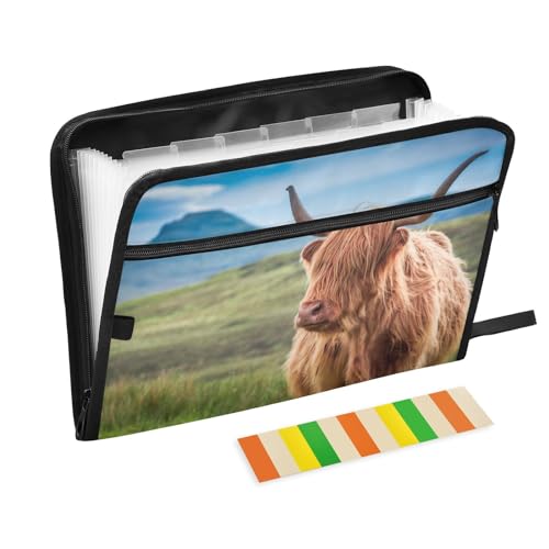 Fächermappe mit 13 Fächern, A4, Briefformat, Papier, tragbarer Dokumenten-Organizer mit Reißverschluss, Schule, Zuhause, Büro, Klassenzimmer, pelziges Hochlandkuh, Isle, Skye, Schottland von Foiosoh