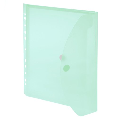 Sichttaschen mit Abheftrand und Dehnfalte, grün von FolderSys