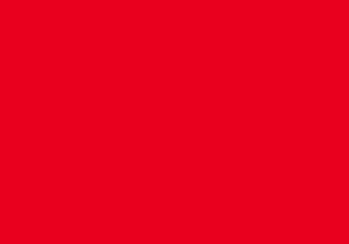 folia Tonpapier, (B)500 x (H)700 mm, 130 g/qm, hibiscus von Folia Bringmann
