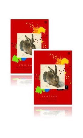 Edition Dürer Malblock gekörnt A4 50 Blatt 100g qm Format Edition Dürer Malblock gekörnt A4 50 Blatt 100g qm Format von Format Werk DÜRER HASE