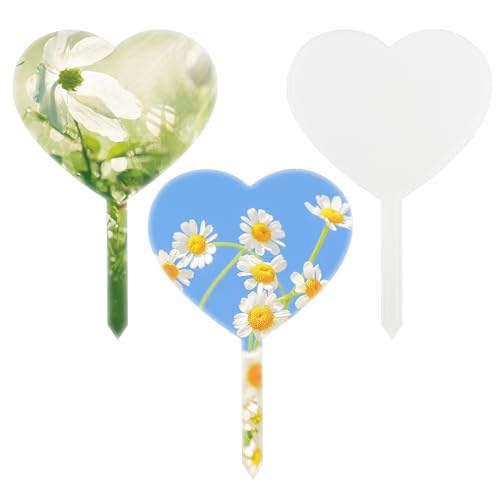 Framendino, 3 Stück Sublimationsdruck blanko Acryl Kuchen Topper Pflanze Marker DIY Wärmeübertragung Dekor Herzform Framendino, 3 Stück Sublimationsdruck blanko Acryl Kuchen Topper Pflanze Marker DIY Wärmeübertragung Dekor Herzform von Framendino