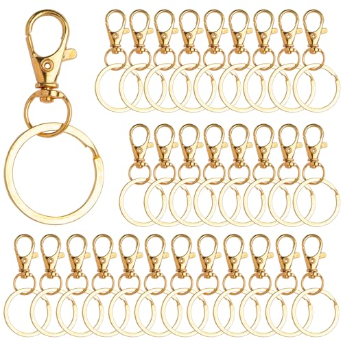 Framendino, Karabinerhaken aus Metall, drehbar, mit Schlüsselringen, Karabinerhaken, Schlüsselband für Bastelarbeiten, 100 Stück Framendino, Karabinerhaken aus Metall, drehbar, mit Schlüsselringen, Karabinerhaken, Schlüsselband für Bastelarbeiten, 100 Stück von Framendino