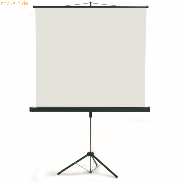 Franken Stativleinwand X-tra! Line 240x240 cm Typ D von Franken