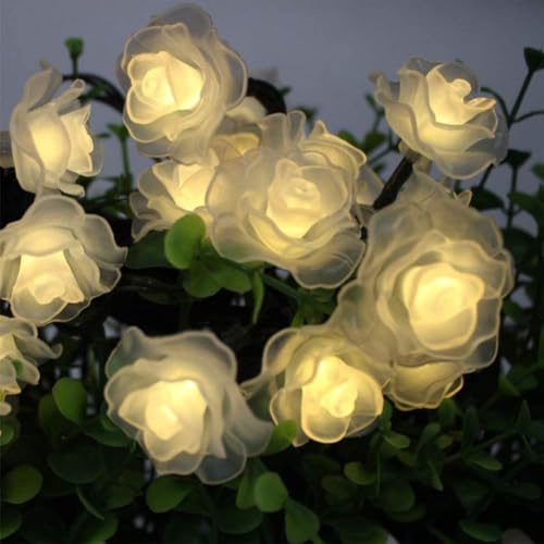 Fransande Solar Blume Lichterketten, Solar Outdoor Lichterketten 6M 30LED Rose Flower Lichterketten Flower Solar String Lights Outdoor Wasserdicht (Warmweiß) … von Fransande
