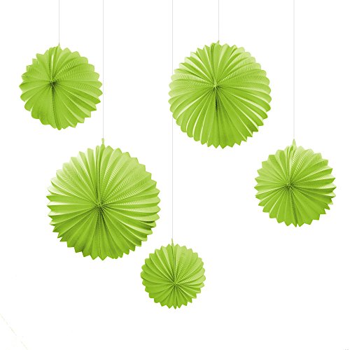 Frau WunderVoll® 5er Set LAMPIONS, MAIGRÜN, 3X Ø19, 2X Ø27,5 cm/Deko Hochzeit, Seidenpapier, Seiden Blumen, Papierblumen, Geburtstagsdeko, Tischdeko, Hochzeitsdeko, Gartenfest, Garten Party von Frau WunderVoll
