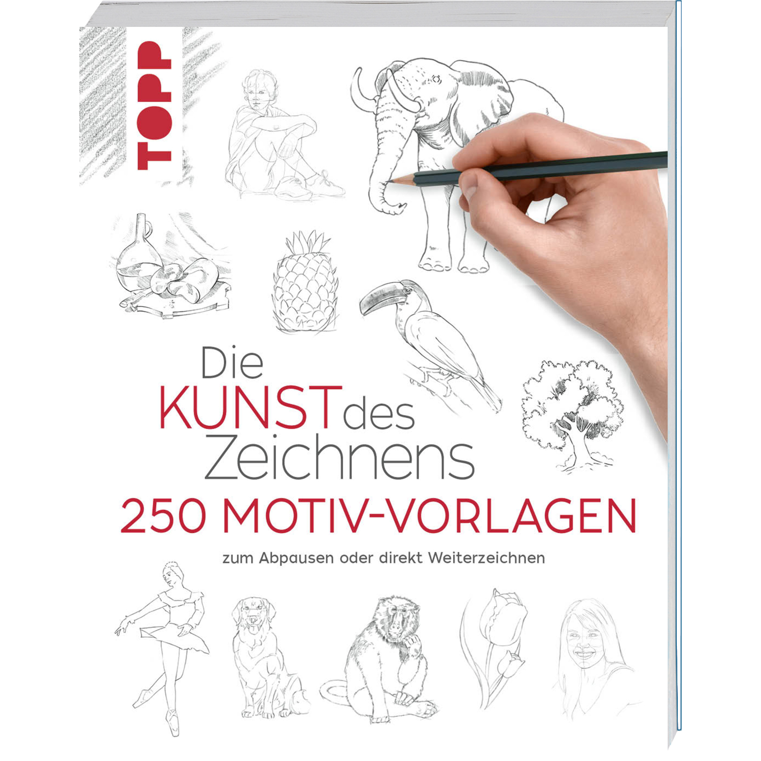 Die Kunst des Zeichnens 250 Motiv-Vorlagen von TOPP