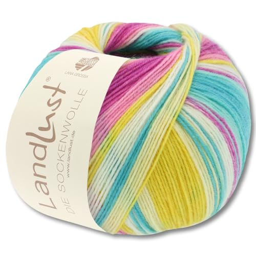 Frida's Wollhaus Lana Grossa 100 g Landlust die Sockenwolle 4-fädig Stricken Wolle Garn 33 Farben (113) von Frida's Wollhaus