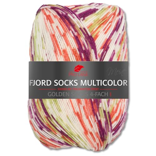 Frida's Wollhaus Pro Lana 100 g Fjord Socks 4-fach Fjord Socks Multicolor Sricken Häkeln Sockenwolle 6 Farben (480) von Frida's Wollhaus