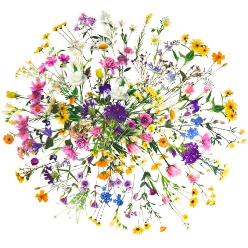 160 Stück Transparente Blumen Aufkleber Set Wasserfeste Aufkleber,PET Blumen Aufkleber für DIY Fotoalben, Tagebuch, Notizbuch, Kalender, Briefumschläge oder Glückwunschkarten 160 Stück Transparente Blumen Aufkleber Set Wasserfeste Aufkleber,PET Blumen Aufkleber für DIY Fotoalben, Tagebuch, Notizbuch, Kalender, Briefumschläge oder Glückwunschkarten von Friedwohl