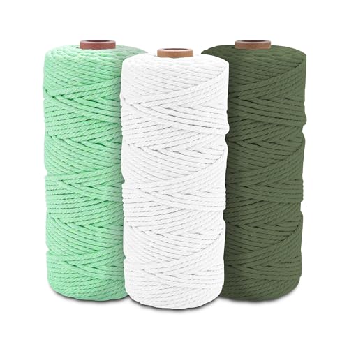 Premium Makramee Garn Set (3er), 100% Natürliche Baumwollkordel 3mm x 100m, Makramee Kordel für Stricken, Häkeln & DIY Handwerk - Ideal für Weben, Wanddekoration - 3 Farben Auswahl von Friedwohl