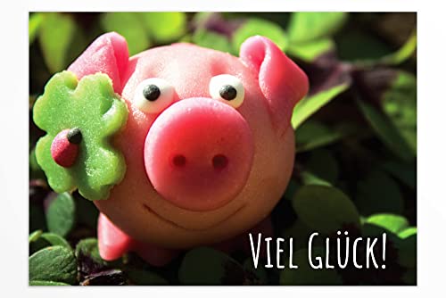 Friendly Fox Viel Glück Karte, 1x DIN A6 Klappkarte Viel Erfolg mit Umschlag, Mutmacherkarte für Abi Abschluss Prüfung, Karte mit Umschlag, Glücksschwein Friendly Fox Viel Glück Karte, 1x DIN A6 Klappkarte Viel Erfolg mit Umschlag, Mutmacherkarte für Abi Abschluss Prüfung, Karte mit Umschlag, Glücksschwein von Friendly Fox