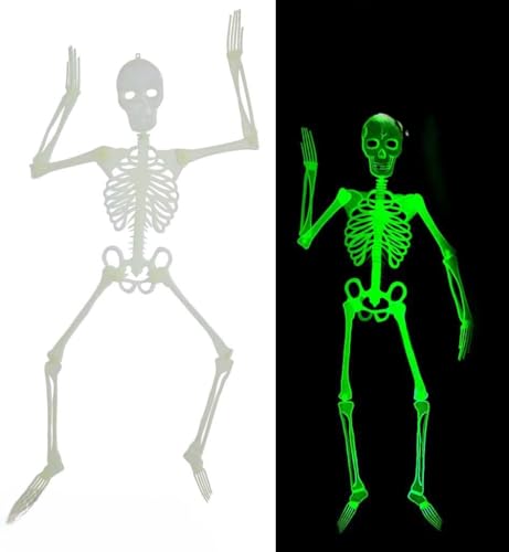 🩻 Nachtleuchtendes Deko-Skelett für Halloween und Events – 120 cm von FRIES