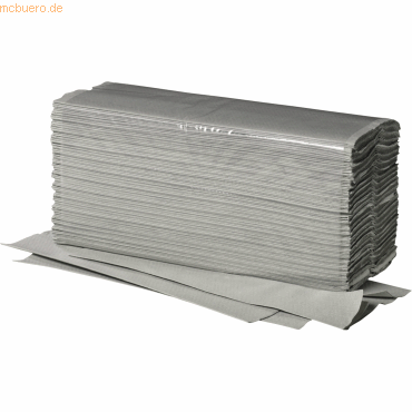 Fripa Papierhandtuch PLUS 4111102 25x33cm 20x180 Blatt von Fripa