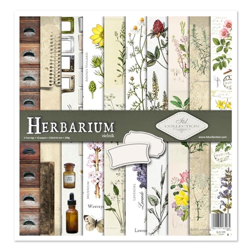 ITD Collection - Scrapbooking package 12 x 12 inches, scrapbooking paper, decorative paper, decoupage, card making, paper size - 310 x 320 mm (Herbarium, SLS-035) von ITD Collection