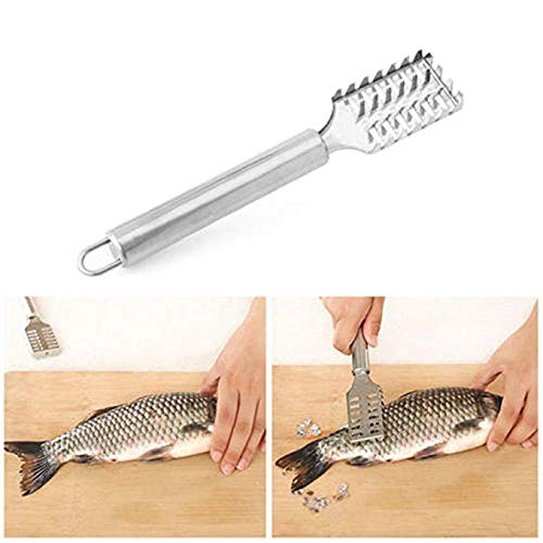 Frmarche 2 Stück Fischschäler aus Edelstahl, Werkzeug zum Entfernen von Schuppen von Fischschuppen von Frmarche