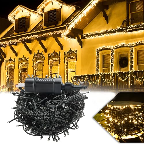 Froadp LED Lichterkette 300 LEDs Lichterketten Vorhang Außen mit Stecker IP44 Wasserdicht Weihnachtsbeleuchtung mit 8 Leuchtmodi WarmWeiß Lampenkette für Innen Garten Hochzeit Weihnachten Party(30m) von Froadp