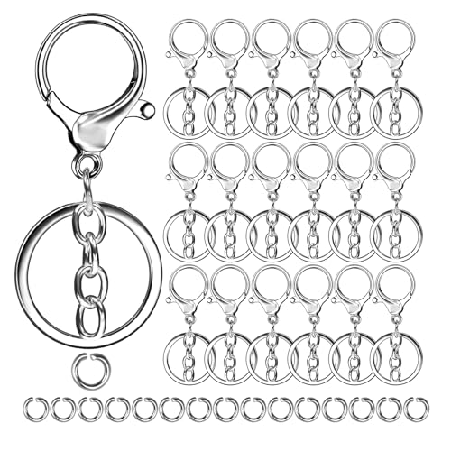 40 Stück Karabinerhaken mit Schlüsselanhänger 20 Stück Blendenring 20 Stück Karabinerhaken-Clip mit Kette Karabinerverschlüsse kleine karabinerhaken für Bastelarbeiten DIY (Silber) von Froasia