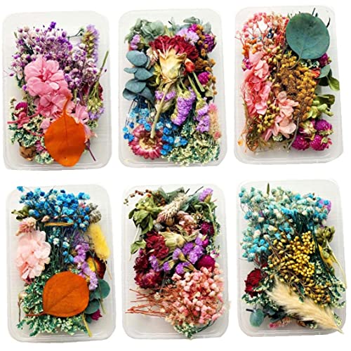 1 Box Natürliche Getrocknete Trockenpflanzen Für DIY Epoxidharz Charme Anhänger Aromatherapie Kerze Schmuck 1 Box Natürliche Getrocknete Trockenpflanzen Für DIY Epoxidharz Charme Anhänger Aromatherapie Kerze Schmuck von Froiny