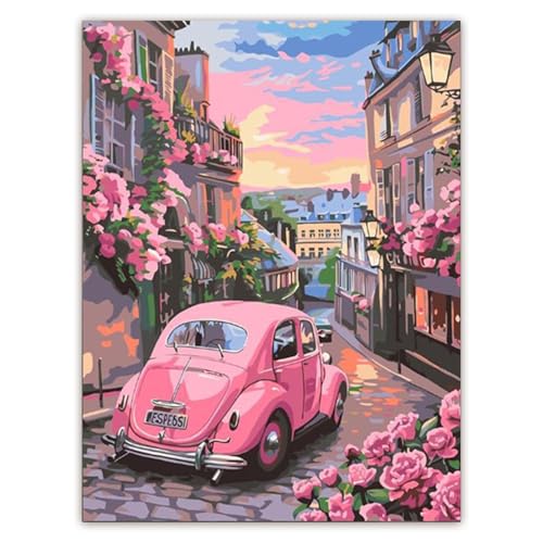Fsahiuf Malen Nach Zahlen Erwachsene,Paint By Numbers,Malen nach Zahlen Set, Vintage Rosa Käfer Auto in Paris Straße, Romantische Stadtszene mit Blumen, DIY Acrylmalerei auf Leinwand von Fsahiuf
