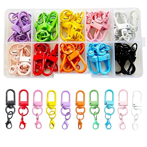 Fubuuf 40 Stück Mini Karabiner Schlüsselanhänger Bunte Metall Krallenverschlüsse Drehbare Lobster mit Transparente Aufbewahrungsbox für DIY Handtasche Schlüsselring Taschenzubehör (10 Farben) von Fubuuf