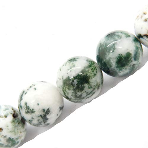 Fukugems Naturstein perlen für schmuckherstellung, verkauft pro Bag 5 Stränge Innen, Tree Agate 4mm Fukugems Naturstein perlen für schmuckherstellung, verkauft pro Bag 5 Stränge Innen, Tree Agate 4mm von Fukugems