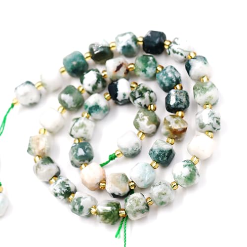 Fukugems Naturstein perlen für schmuckherstellung, verkauft pro Bag 5 Stränge Innen, facettierter Würfel Tree Agate 8mm Fukugems Naturstein perlen für schmuckherstellung, verkauft pro Bag 5 Stränge Innen, facettierter Würfel Tree Agate 8mm von Fukugems