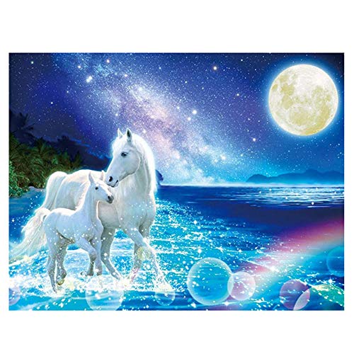 5D Diamond Painting Erwachsener Diamant Malerei Strand Pferd Landschaft Bilder Full Set Groß DIY Diamant Gemälde Kristall Strass Stickerei Kunst Handwerk für Dekoration Home Wall 60x70cm Platz Drill 5D Diamond Painting Erwachsener Diamant Malerei Strand Pferd Landschaft Bilder Full Set Groß DIY Diamant Gemälde Kristall Strass Stickerei Kunst Handwerk für Dekoration Home Wall 60x70cm Platz Drill von Fulanpai