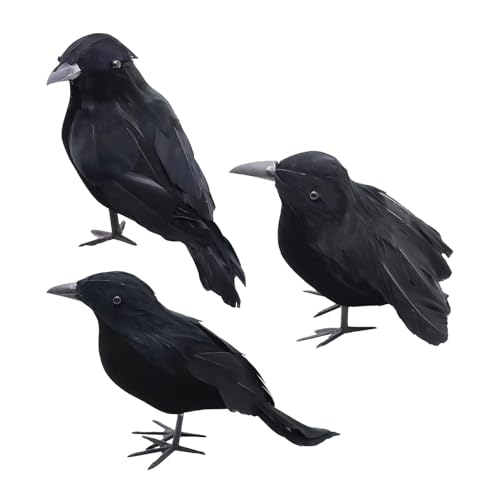 Fulenyi Halloween-Krähen-Dekorationen, Halloween-Raben – 3 x lebensechte Vögel | Raben-Zubehör, Halloween-Dekoration, Schreibtisch-Dekoration für Wohnzimmer, Spukhaus Fulenyi Halloween-Krähen-Dekorationen, Halloween-Raben – 3 x lebensechte Vögel | Raben-Zubehör, Halloween-Dekoration, Schreibtisch-Dekoration für Wohnzimmer, Spukhaus von Fulenyi