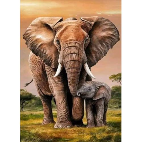Fumupe 5D Diamond Painting Elefant Erwachsene Anfänger, Tier Diamant Painting Bilder DIY Runder Vollbohrer Diamant Malerei Stickerei Set Kreuzstich Bilder Home Wand Dekor, 30x40cm von Fumupe