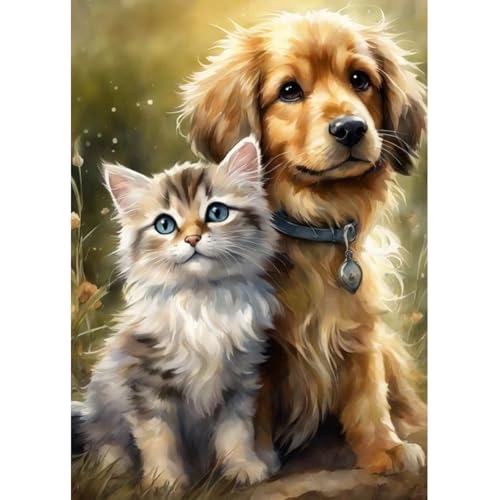 Fumupe 5D Diamond Painting Katzen und Hunde Erwachsene Anfänger, Tier Diamant Painting Bilder DIY Runder Vollbohrer Diamant Malerei Stickerei Set Kreuzstich Bilder Home Wand Dekor, 30x40cm von Fumupe