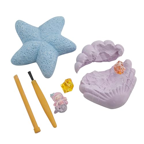 Fun Express Sea Series Seestern & Muschel-Schatzgraben-Set, 8,9 cm, 12 Stück Fun Express Sea Series Seestern & Muschel-Schatzgraben-Set, 8,9 cm, 12 Stück von Fun Express