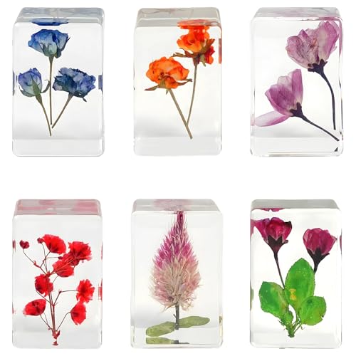 Briefbeschwerer aus Kunstharz, Blumenwürfel, transparent, Schreibtischdekoration mit getrockneten Blumen-Akzenten, perfekt für Zuhause und Büro, 6 Stück Briefbeschwerer aus Kunstharz, Blumenwürfel, transparent, Schreibtischdekoration mit getrockneten Blumen-Akzenten, perfekt für Zuhause und Büro, 6 Stück von Funabridge