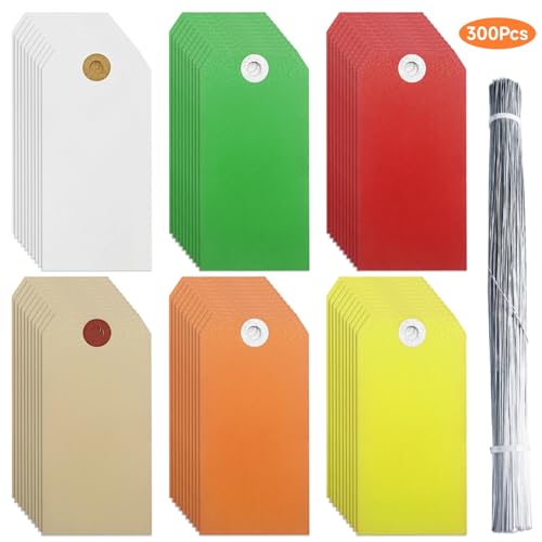 Papieranhänger mit Schnüren, verschiedene Farben für Inventar und Geschenke, verstärkte Löcher, glattes Schreiben für Schmuck und Preisetiketten, 300 Stück Papieranhänger mit Schnüren, verschiedene Farben für Inventar und Geschenke, verstärkte Löcher, glattes Schreiben für Schmuck und Preisetiketten, 300 Stück von Funabridge
