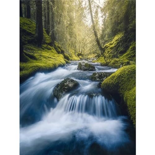 Diamond Painting Wald-Wasserfälle diamond painting erwachsene 50x70cm, 5D Square diamond painting set mit Zubehör Full Set, DIY Cross Stickerei Deko Wohnzimmer Schlafzimmer Büro Eingang Wand C36 von Funxer