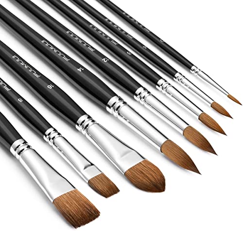 Fuumuui 8 Pinsel Set - Verschiedene Formen mit Flacher, Runder, Spitzer Katzenzunge, Ovaler Waschung, Perfekt für die Malerei mit Aquarell Acryl Gouache Tinten Fuumuui 8 Pinsel Set - Verschiedene Formen mit Flacher, Runder, Spitzer Katzenzunge, Ovaler Waschung, Perfekt für die Malerei mit Aquarell Acryl Gouache Tinten von Fuumuui