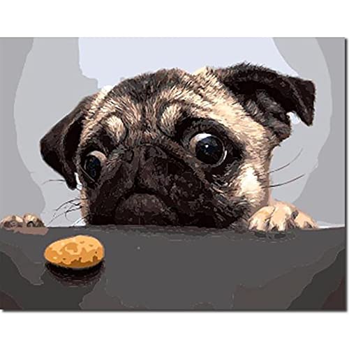 Fuumuui Malen Nach Zahlen Erwachsene und Kinder Anfänger Gemälde inklusive Pinsel und Acrylfarben 40 x 50 cm - Tiere, Hungriger Hund von golden maple