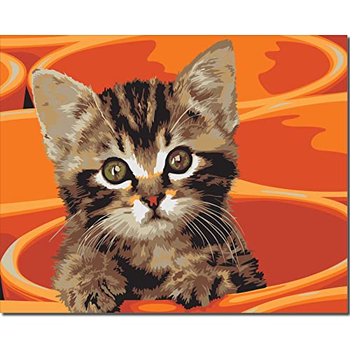 Fuumuui Malen Nach Zahlen Erwachsene und Kinder Anfänger Gemälde inklusive Pinsel und Acrylfarben 40 x 50 cm - Tiere, Katze im orangefarbenen Cup von golden maple