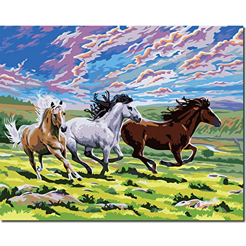 Fuumuui Malen Nach Zahlen Erwachsene und Kinder Anfänger Gemälde inklusive Pinsel und Acrylfarben 40 x 50 cm - Tiere, Pferd in der Prärie von Fuumuui