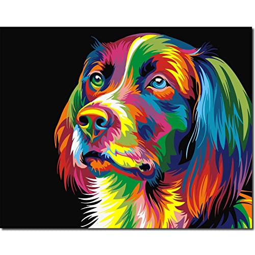 Fuumuui Malen Nach Zahlen Erwachsene und Kinder Anfänger Gemälde mit Rahmen inklusive Pinsel und Acrylfarben 40 x 50 cm - Tiere, Bunter Hund Fuumuui Malen Nach Zahlen Erwachsene und Kinder Anfänger Gemälde mit Rahmen inklusive Pinsel und Acrylfarben 40 x 50 cm - Tiere, Bunter Hund von Fuumuui
