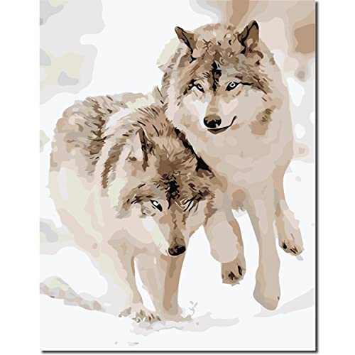 Fuumuui Malen Nach Zahlen Erwachsene und Kinder Anfänger Gemälde inklusive Pinsel und Acrylfarben 40 x 50 cm - Tiere, weißer Wolf von Fuumuui