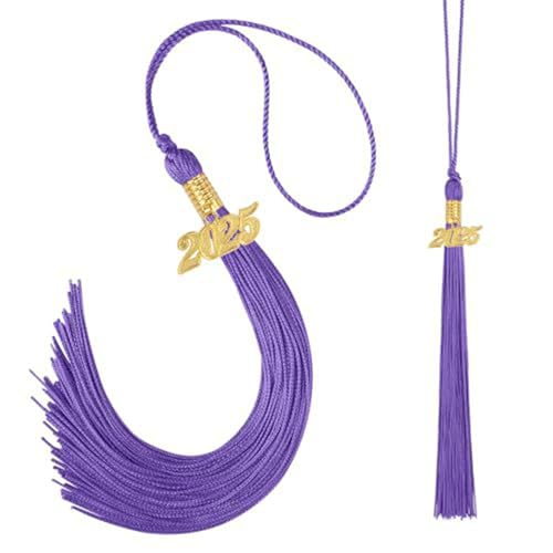 Fycakly Abschlussquaste für Party Dekorative Doktorandenkappe Ornament Abschlusskappe Zubehör Polyestermaterial 40 cm Länge für Feiern Kristalle Zum AufhäNgen (Purple, One Size) von Fycakly