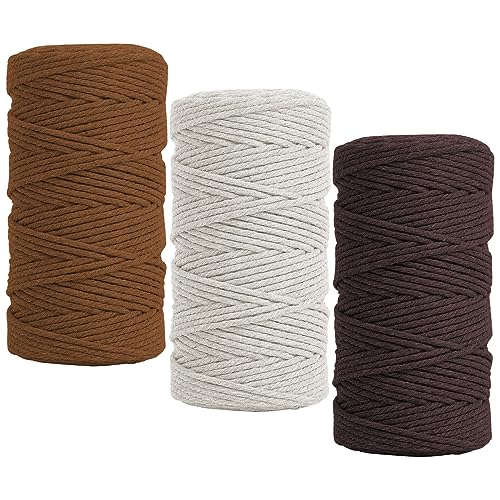 Fyfjur Makramee Garn 2mm, 3 Rollen Bunte Cotton Macrame Cord, Makramee Schnur, Baumwollschnur Paketschnur für Wandbehang, Traumfänger, DIY Basteln, Backen, Geschenke Verpacken (300m) von Fyfjur