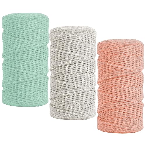Fyfjur Makramee Garn 2mm, 3 Rollen Bunte Cotton Macrame Cord, Makramee Schnur, Baumwollschnur Paketschnur für Wandbehang, Traumfänger, DIY Basteln, Backen, Geschenke Verpacken (300m) von Fyfjur