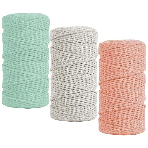 Fyfjur Makramee Garn 2mm, 3 Rollen Bunte Cotton Macrame Cord, Makramee Schnur, Baumwollschnur Paketschnur für Wandbehang, Traumfänger, DIY Basteln, Backen, Geschenke Verpacken (300m) von Fyfjur