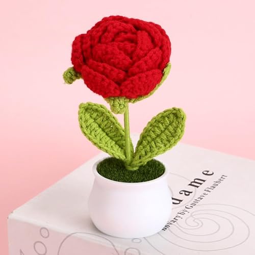 Fyrcomft Rose Häkelblumen, niedliche kleine Topfblume, Geschenk für Geburtstag, Lehrertag, Abschluss, Jahrestag, Weihnachten, Valentinstag, Dekoration für Auto, Armaturenbrett, Heimbüro, Dekoration Fyrcomft Rose Häkelblumen, niedliche kleine Topfblume, Geschenk für Geburtstag, Lehrertag, Abschluss, Jahrestag, Weihnachten, Valentinstag, Dekoration für Auto, Armaturenbrett, Heimbüro, Dekoration von Fyrcomft