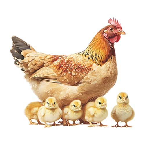 FytStycale Wandaufkleber mit Huhn, Hahn, Hühner Fensteraufkleber für Wohnzimmer, Speisekammer von FytStycale